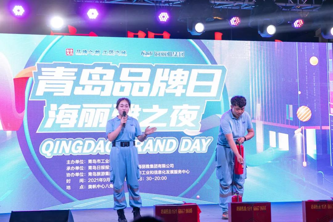 青島海麗雅集團(tuán) 青島海麗雅集團(tuán)