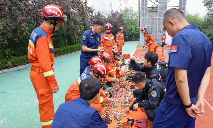 海麗雅集團 海麗雅集團
